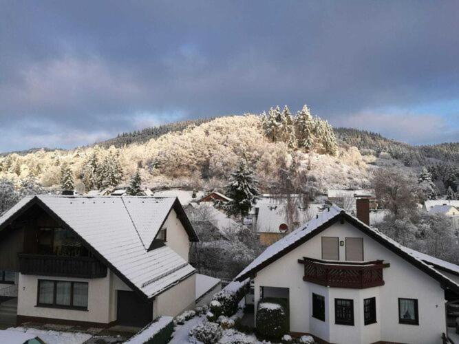 Spacious Flat In Adenau Near The N Rburgring Eksteriør bilde